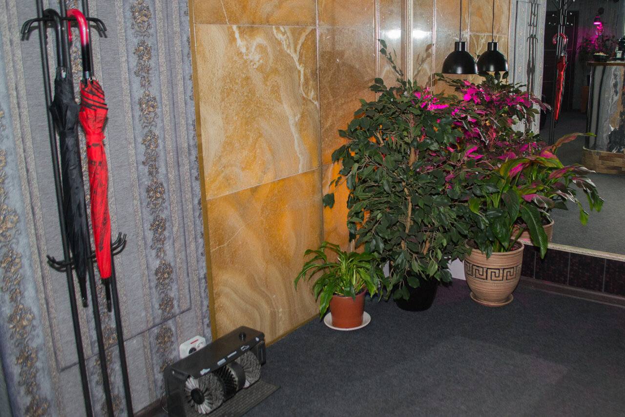 Фото Хостела Тверская 5 Москва 99